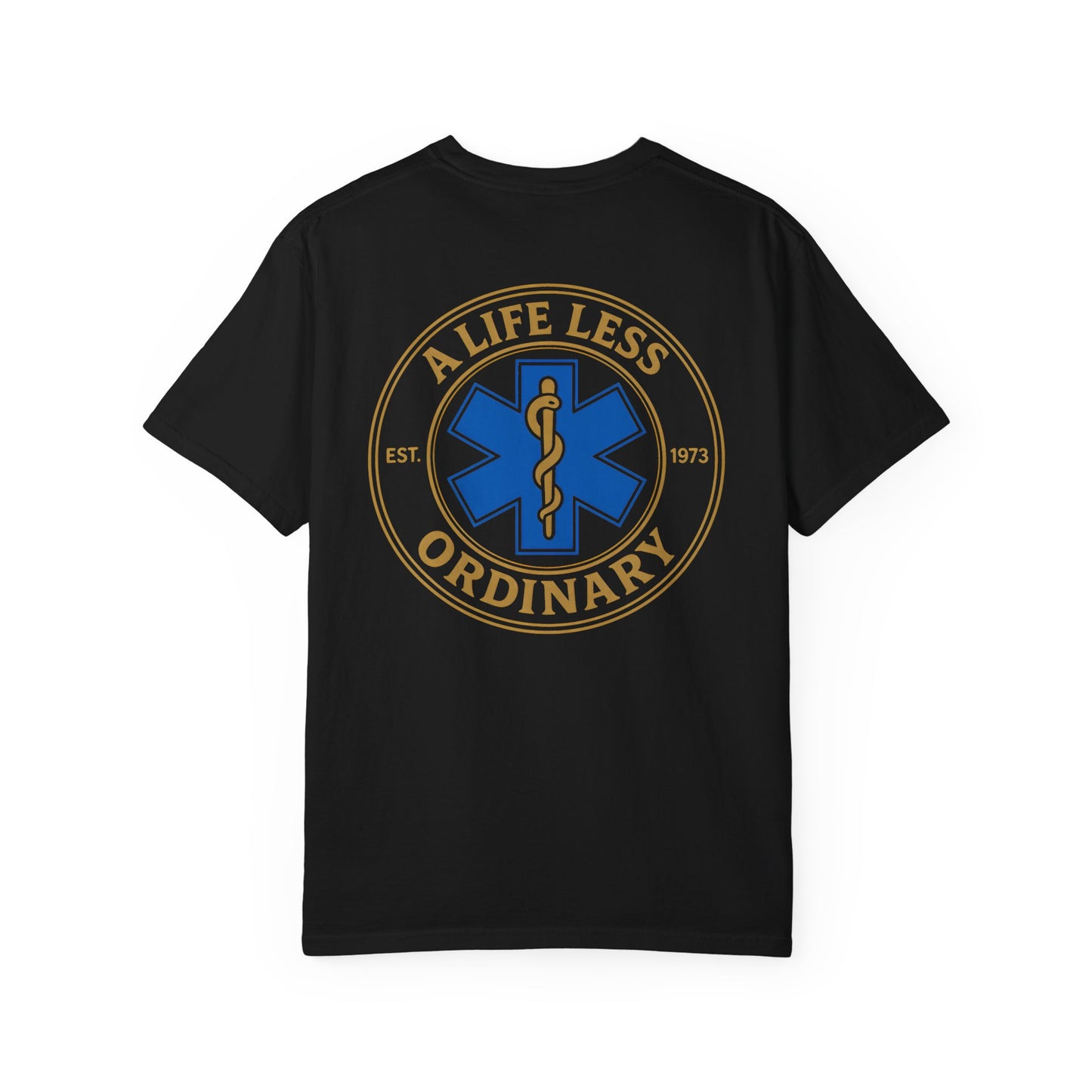 Less Ordinary Est. 1973 T-Shirt, back