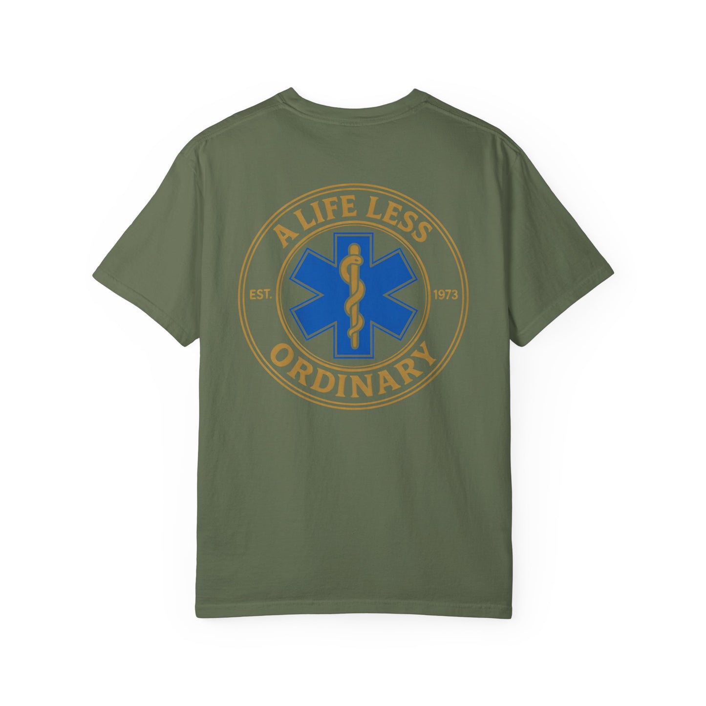 Less Ordinary Est. 1973 T-Shirt, back