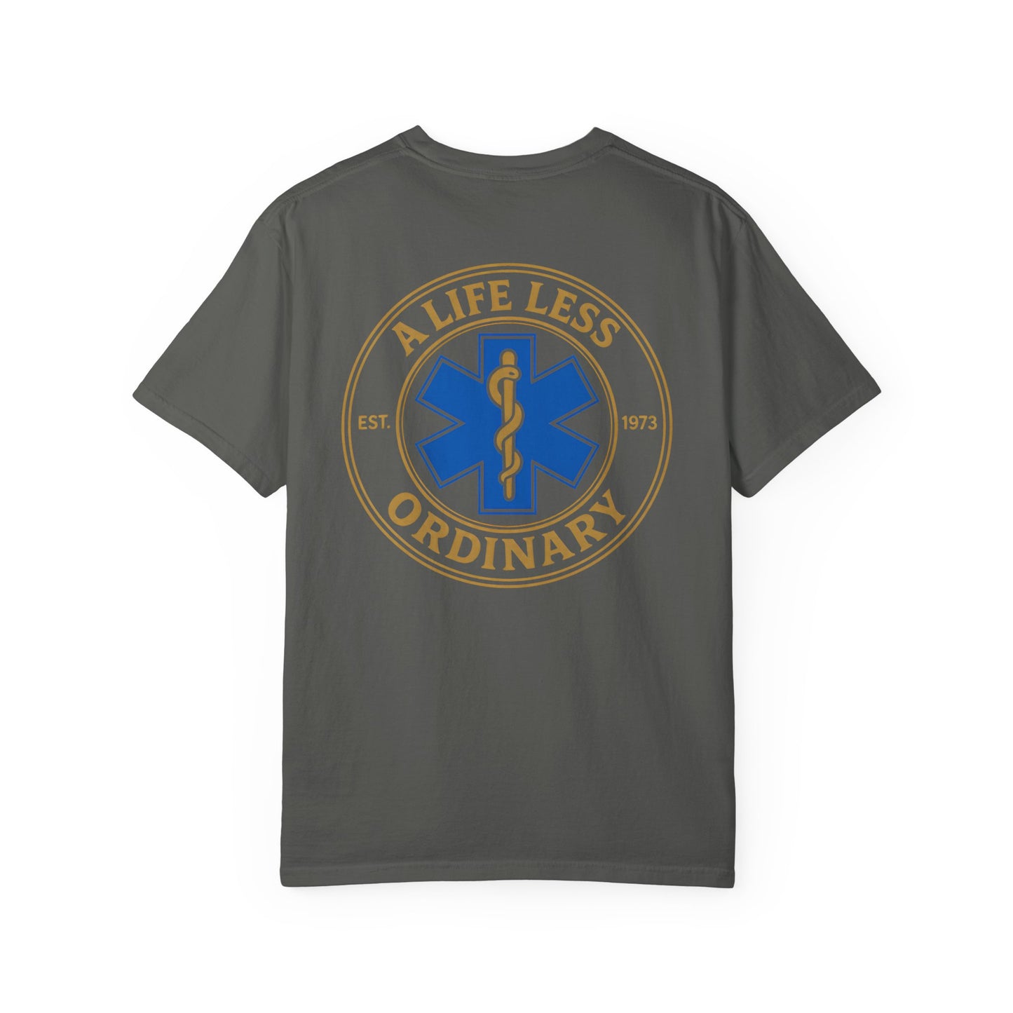 Less Ordinary Est. 1973 T-Shirt, back