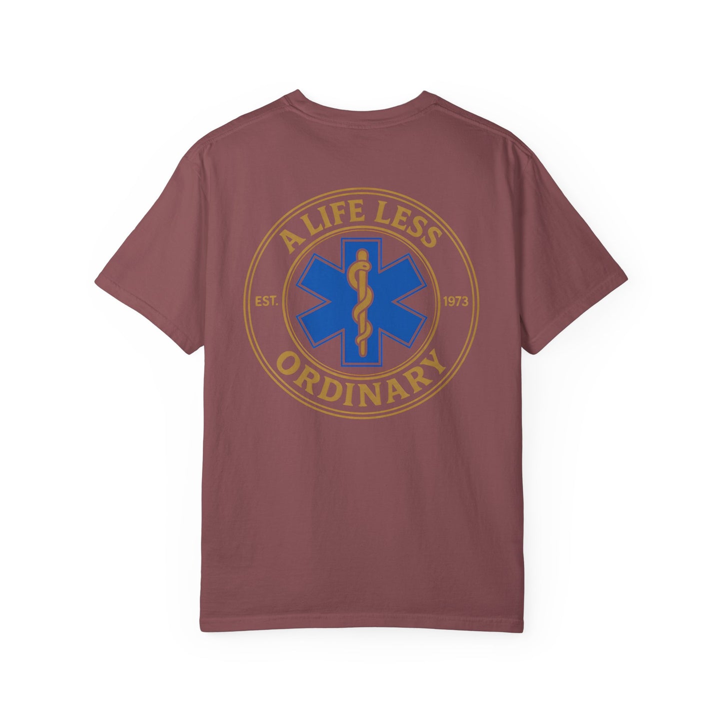 Less Ordinary Est. 1973 T-Shirt, back