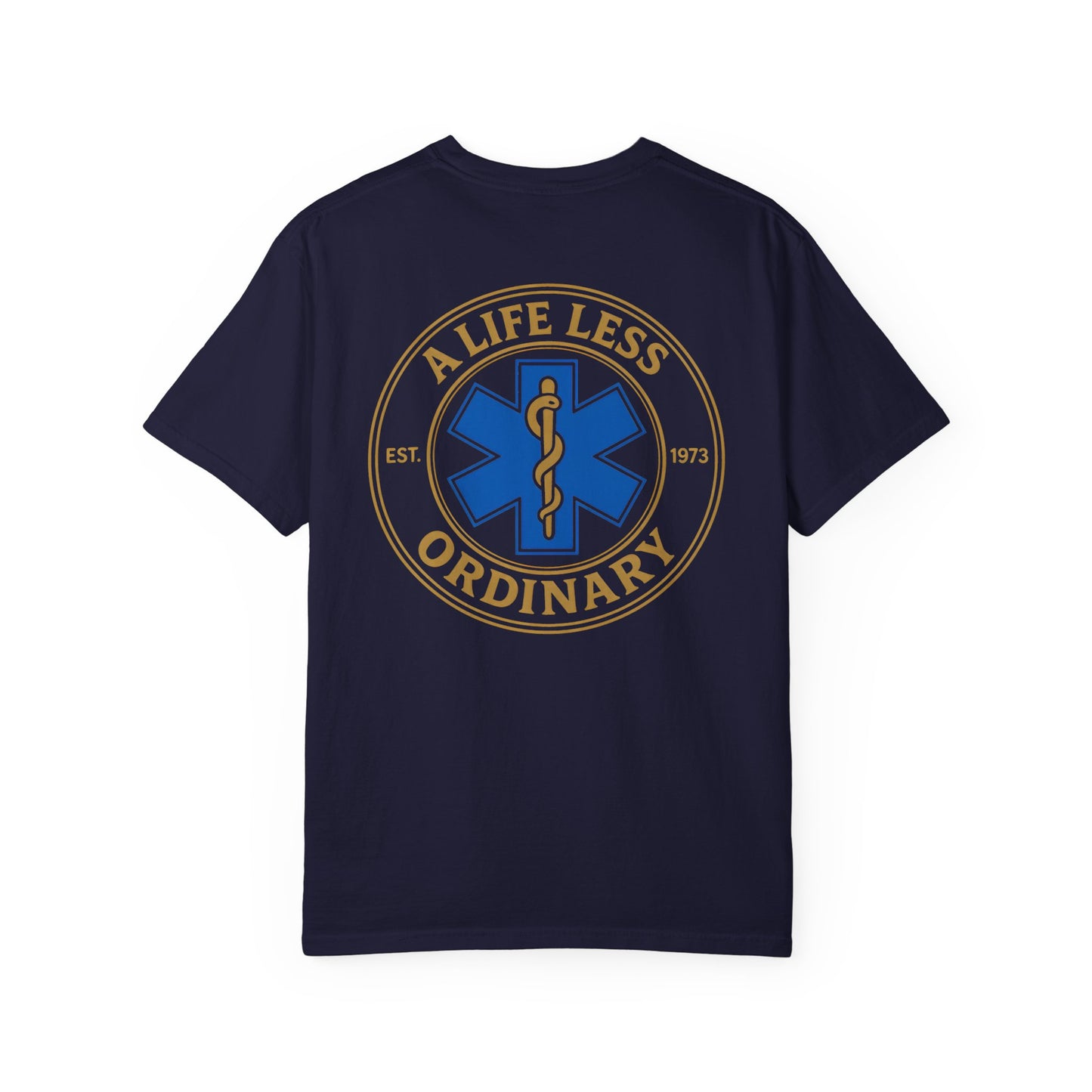 Less Ordinary Est. 1973 T-Shirt, back